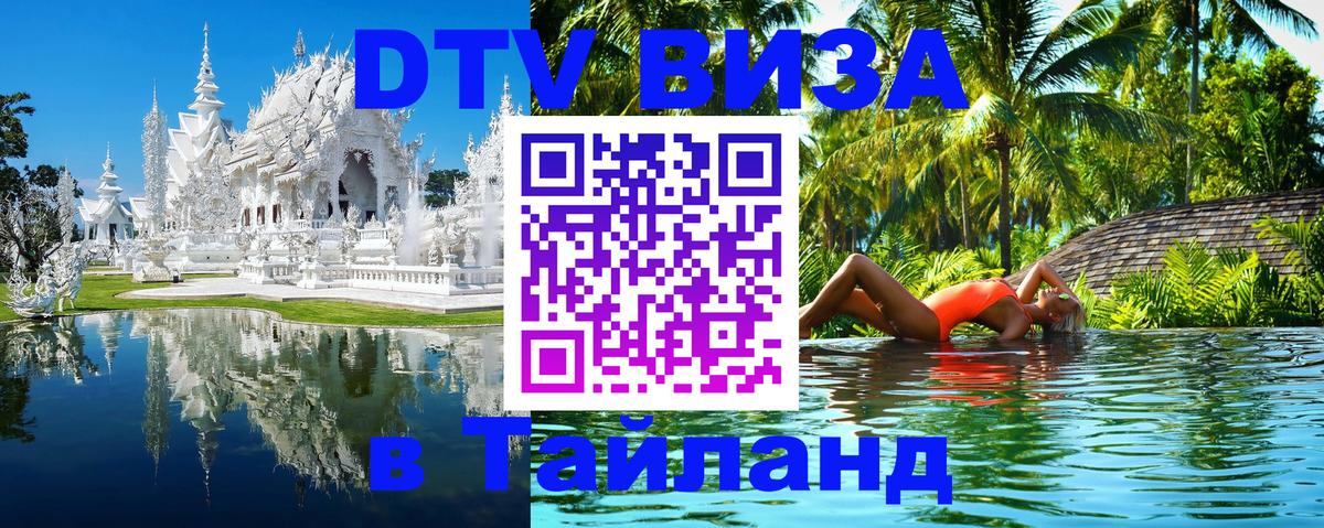 Сколько стоит DTV виза — актуальные цены, оформление даже без документов - 19.11.2025 